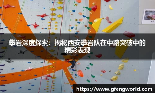 MK体育在线官网